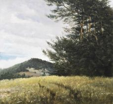 Landschaft